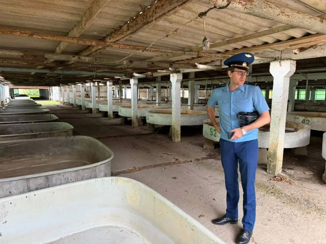 Прокуратурой Калининского района выявлены нарушения в деятельности Гривенского осетрового рыбоводного завода Прокуратурой Калининского района выявлены нарушения в деятельности Гривенского осетрового рыбоводного завода