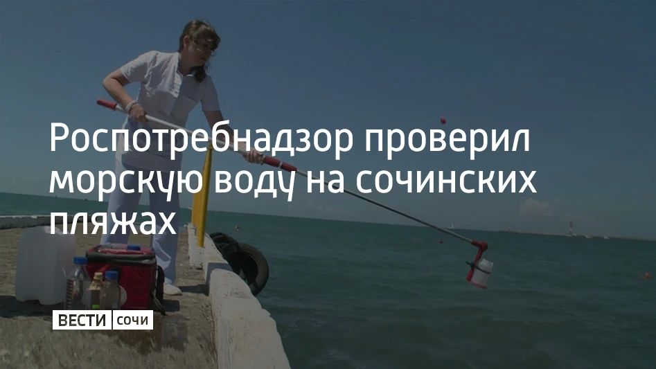 С начала 2026 года Роспотребнадзор проверил 8238 проб морской воды на пляжах Сочи, сообщили в администрации курорта 21 сентября