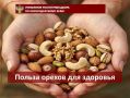 Орехи — ценный продукт здорового питания: в них есть витамины (группы В, С, РР, А, Е) и минералы (калий, магний, цинк, кальций и др.), а также ненасыщенные жирные кислоты