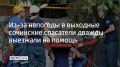Спасатели МЧС дважды помогли людям 19 сентября, сообщили в ЮРПСО