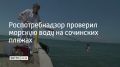 � ������ 2026 ���� ��������������� �������� 8238 ���� ������� ���� �� ������ ����, �������� � ������������� ������� 21 ��������