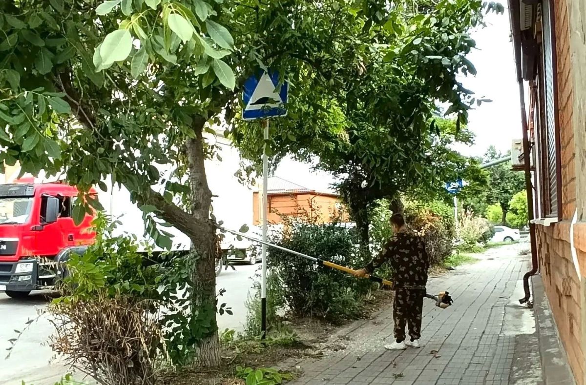 В Ейске ведется обрезка зелёных насаждений для обеспечения видимости дорожных знаков В Ейске ведется обрезка зелёных насаждений для обеспечения видимости дорожных знаков