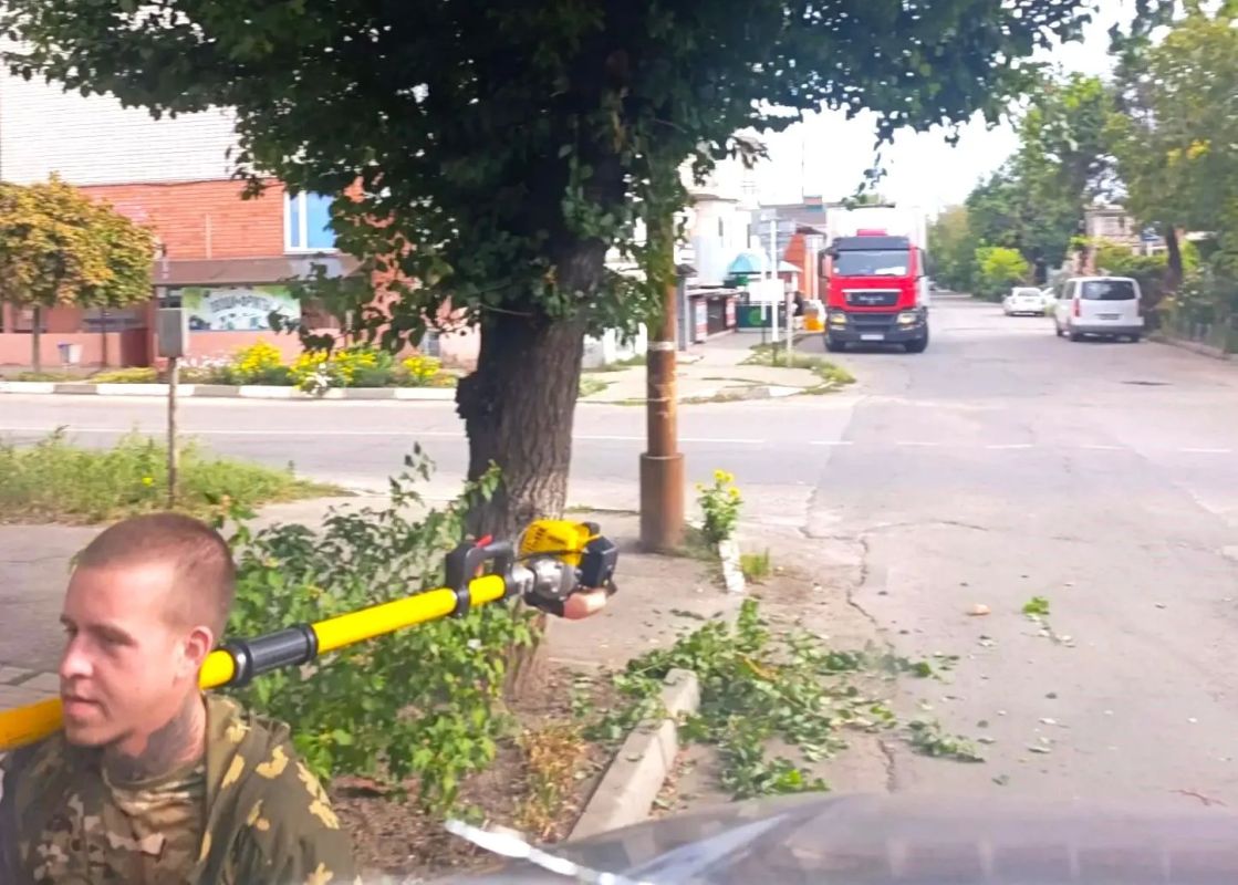 В Ейске ведется обрезка зелёных насаждений для обеспечения видимости дорожных знаков В Ейске ведется обрезка зелёных насаждений для обеспечения видимости дорожных знаков