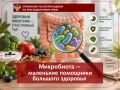 Что есть, чтобы кишечник работал стабильно