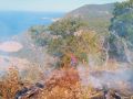 С октября 2025 года на территории заповедника произошло более 100 падений беспилотников