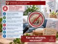 Как не заболеть чесоткой?. Чесотка — инфекционное заболевание, вызываемое чесоточным клещом
