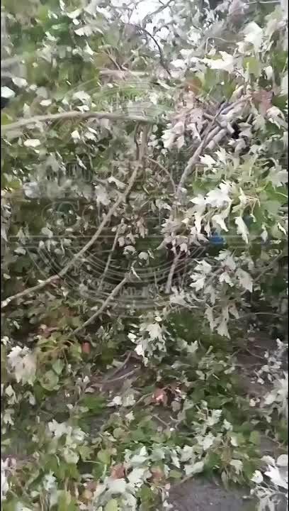 Принимайте меры, пожалуйста
