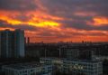 Вооруженные силы Пакистана атаковали Афганистан, в Ростовской области административные строения нефтебазы повреждены обломками БПЛА: что произошло, пока вы спали