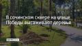 � ����������� ������ ���� ���������� ��������������� ����� ����� ����������� "������" �� ����� ������, �������� � ��� ������� 24 ��������