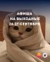Куда сходить в Сочи на выходных 26–27 сентября?
