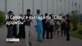 В Сириусе высадили "Сад дружбы"