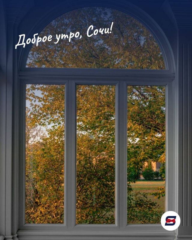 Доброе утро, Сочи!. Интересный факт: благодаря мягкому климату в Сочи растут пальмы, магнолии, эвкалипты, камелии и множество других теплолюбивых растений