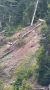 Самая трогательная лесная прогулка которую вы сегодня увидите