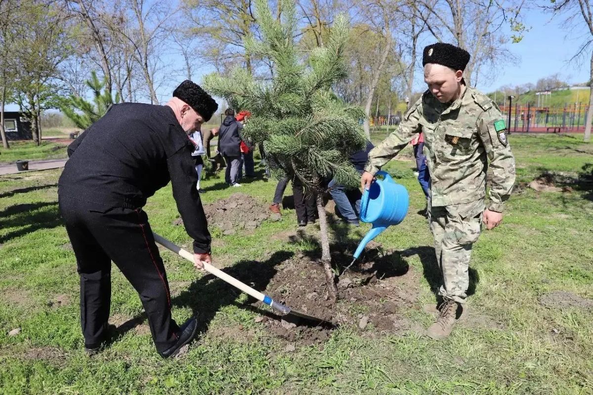 КРАСНОДАРСКИЙ КРАЙ В ТОПЕ-5 РЕГИОНОВ ПО ИТОГАМ АКЦИИ «САД ПАМЯТИ» КРАСНОДАРСКИЙ КРАЙ В ТОПЕ-5 РЕГИОНОВ ПО ИТОГАМ АКЦИИ «САД ПАМЯТИ»