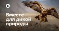 ����� ������ ������� ������� ��� ����� ������ۻ: �������� 100 ������� ��������� �������� ������!