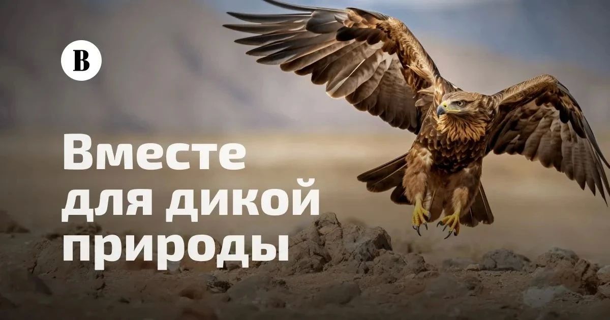 СТАНЬ ЧАСТЬЮ ПРОЕКТА «ВМЕСТЕ ДЛЯ ДИКОЙ ПРИРОДЫ»: ВЫБИРАЕМ 100 ГЛАВНЫХ ПРИРОДНЫХ СИМВОЛОВ РОССИИ!