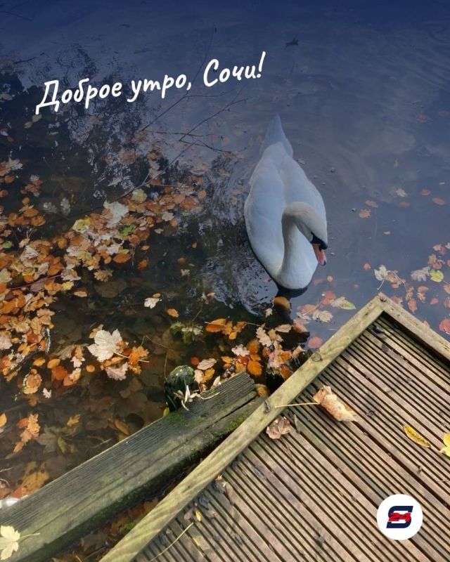 Доброе утро, Сочи!. Конец сентября в нашем городе — это время мягкого солнца, свежего морского воздуха и первых настоящих осенних красок