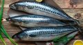 Нежная и ароматная маринованная скумбрия: идеальный выбор для любого стола