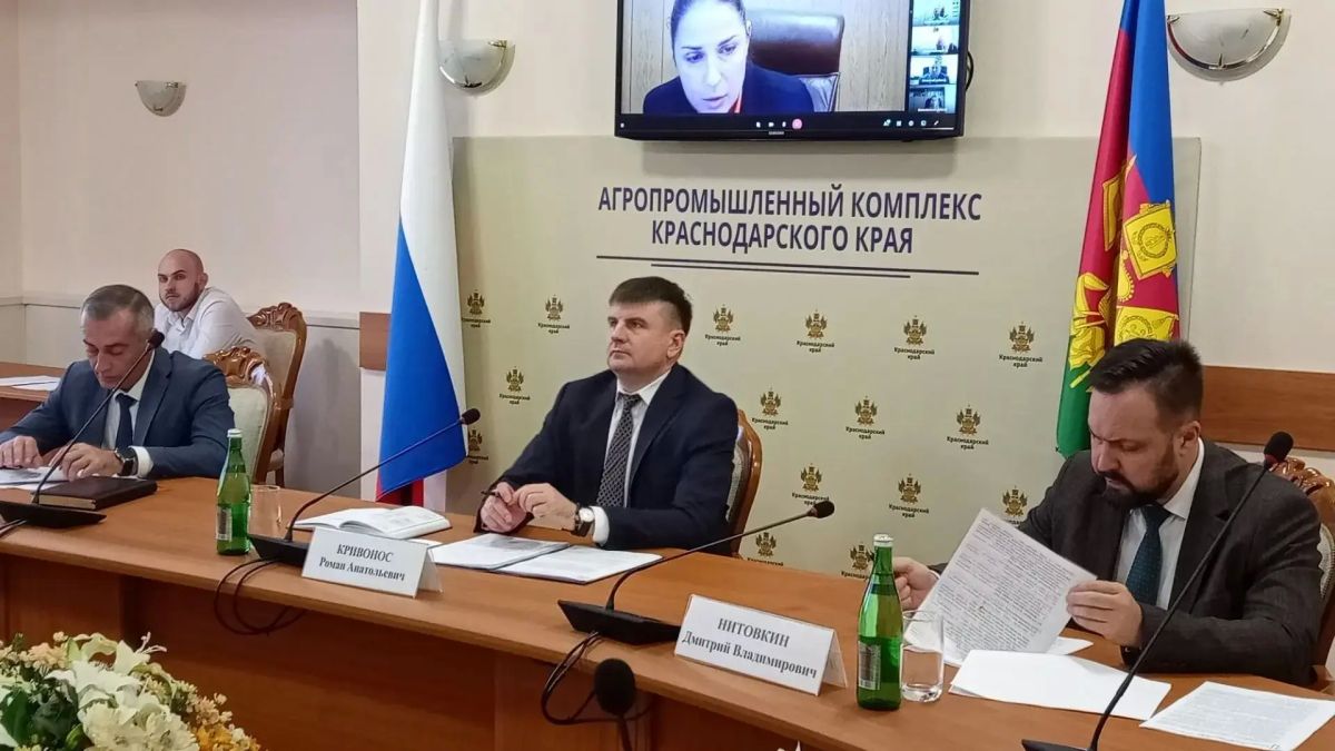 В Краснодарском крае обсудили вопросы по реализации законодательства при организации деятельности по обращению с животными В Краснодарском крае обсудили вопросы по реализации законодательства при организации деятельности по обращению с животными