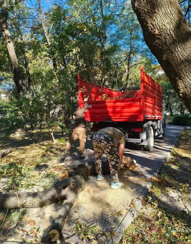 Коммунальные службы Новороссийска вторые сутки устраняют последствия ураганного ветра Коммунальные службы Новороссийска вторые сутки устраняют последствия ураганного ветра