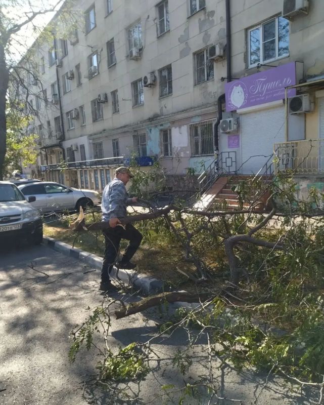 Коммунальные службы Новороссийска вторые сутки устраняют последствия ураганного ветра Коммунальные службы Новороссийска вторые сутки устраняют последствия ураганного ветра