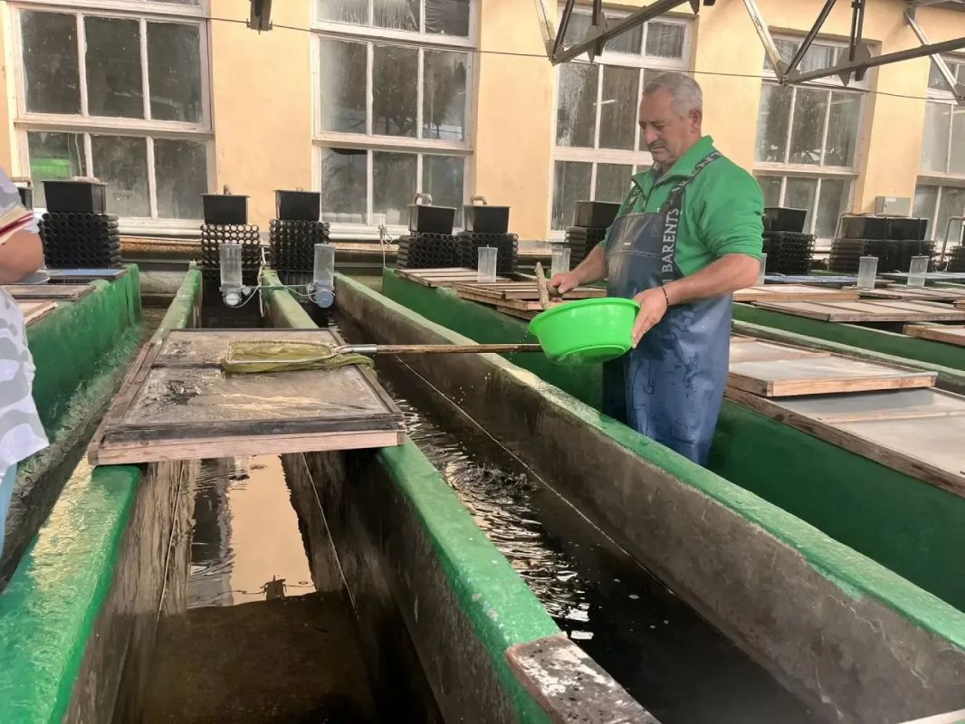 Сотрудники Сочинского филиала ФГКУ Росгранстрой приняли участие в выпуске черноморского лосося Сотрудники Сочинского филиала ФГКУ Росгранстрой приняли участие в выпуске черноморского лосося