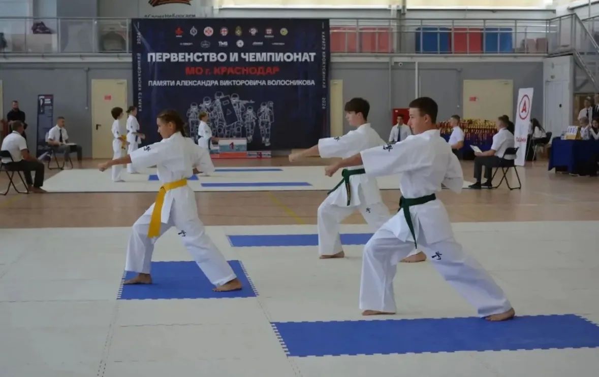 Спортсмены спортивной школы «Раевская» успешно выступили на Первенстве по киокусинкай Спортсмены спортивной школы «Раевская» успешно выступили на Первенстве по киокусинкай