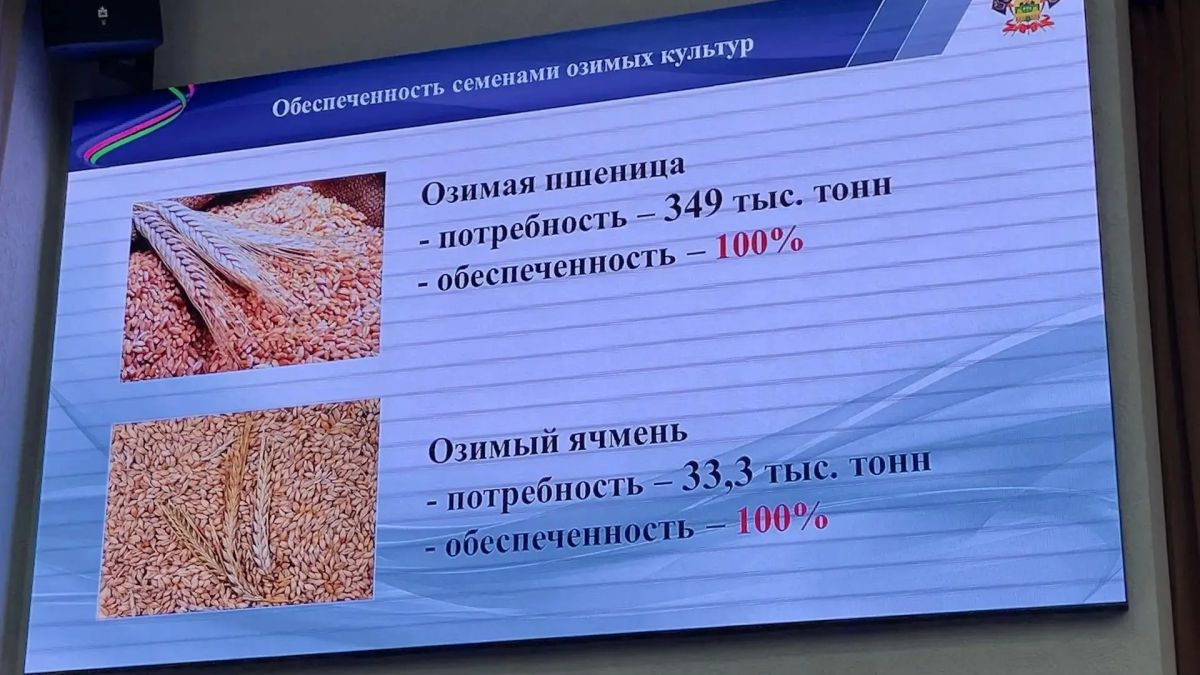 Делегация Ейского района приняла участие в краевом предпосевном совещании Делегация Ейского района приняла участие в краевом предпосевном совещании