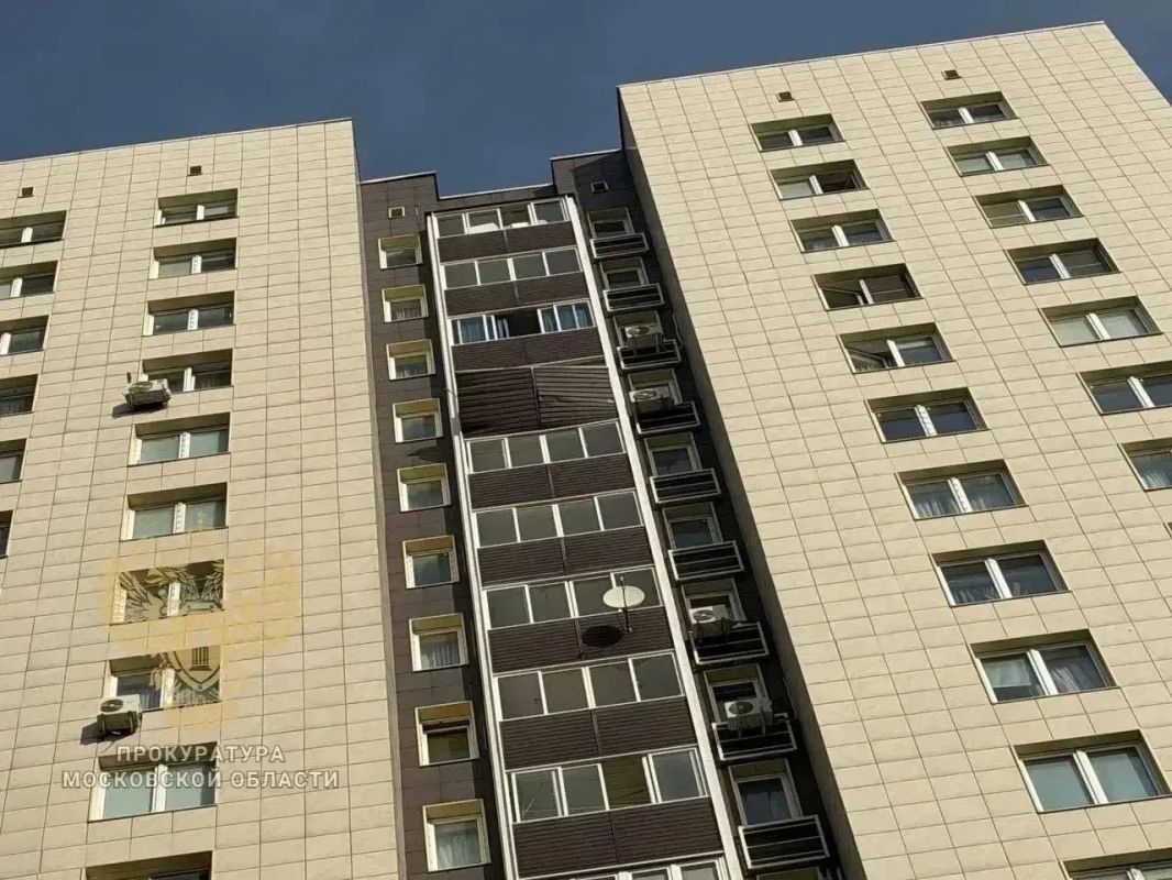 Кот мог стать причиной взрыва в квартире