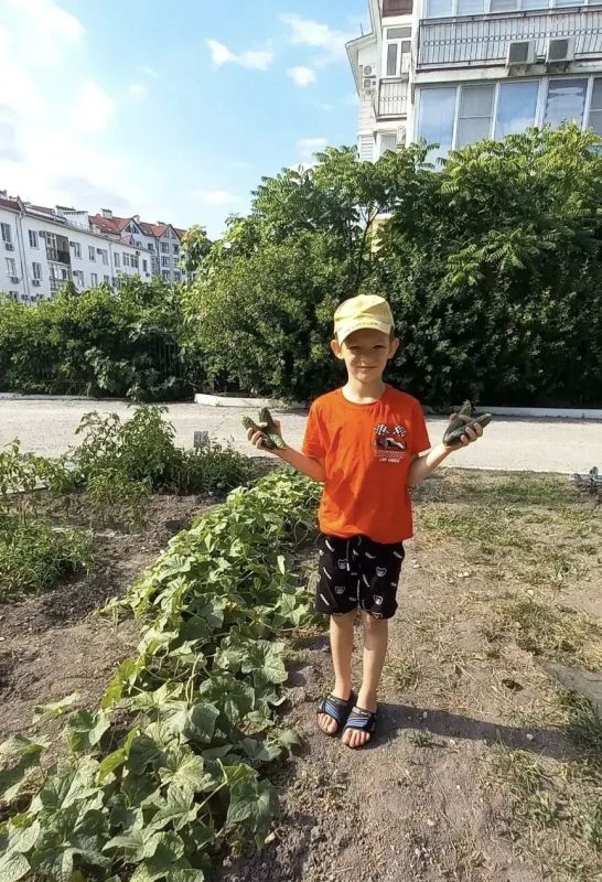 Воспитанники детского сада «Золотая рыбка» - юные садоводы Воспитанники детского сада «Золотая рыбка» - юные садоводы
