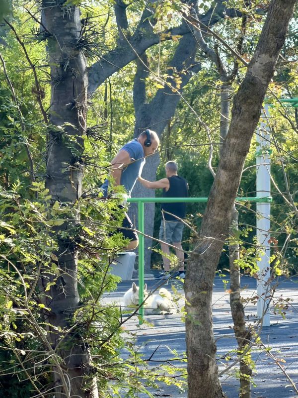 Алексей Богодистов: С утра в парке «Молодёжный» жители занимаются спортом, в обед здесь много семей с детьми, вечером также много прогуливающихся Алексей Богодистов: С утра в парке «Молодёжный» жители занимаются спортом, в обед здесь много семей с детьми, вечером также много прогуливающихся