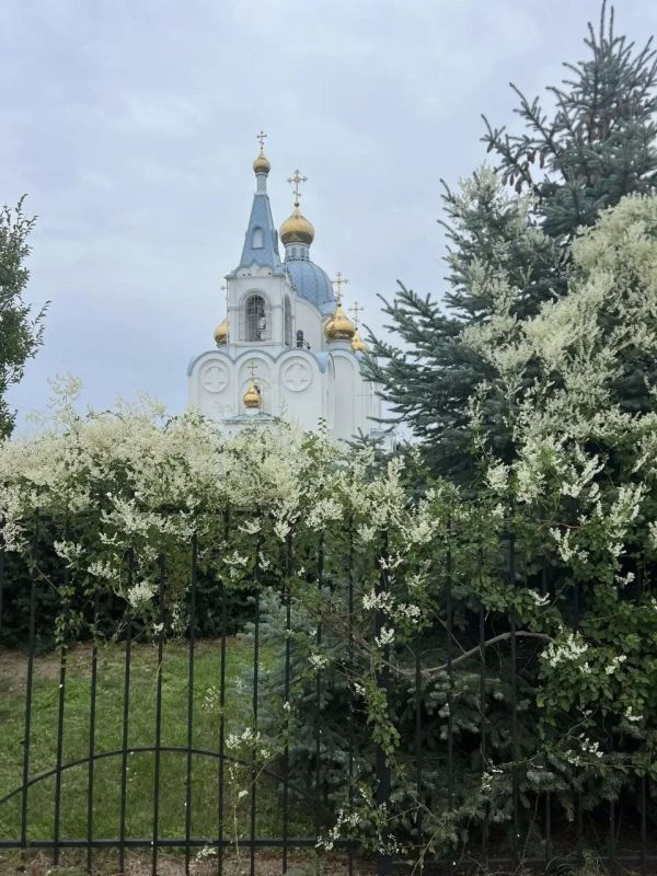 О погоде на 2 октября. В Краснодарском крае переменная облачность О погоде на 2 октября. В Краснодарском крае переменная облачность