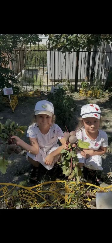 Воспитанники детского сада «Золотая рыбка» - юные садоводы Воспитанники детского сада «Золотая рыбка» - юные садоводы