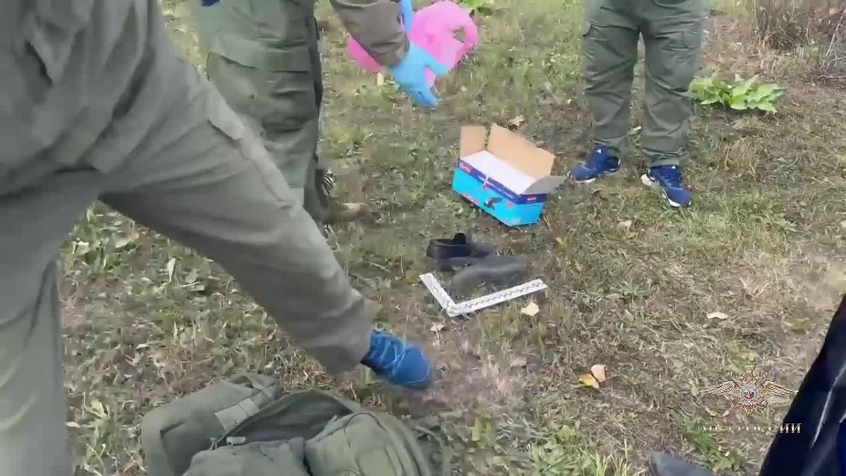Появились кадры задержания нижегородского расчленителя