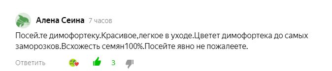 Диморфотека и остеоспермум: кто из цветков завоюет ваш сад?