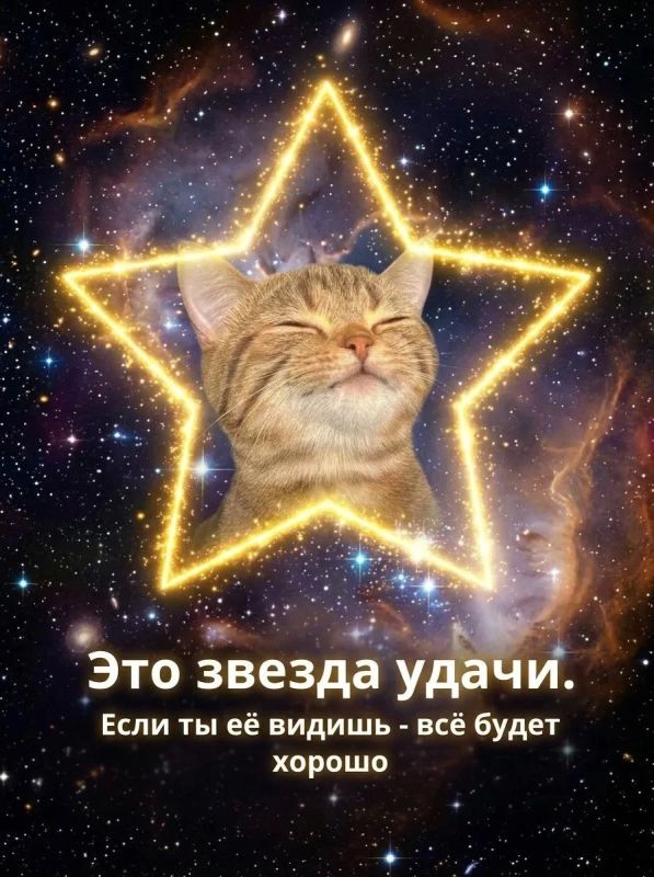 Погода за окном наконец-то налаживается, и в нашей редакции -вайб сменился на +вайб Погода за окном наконец-то налаживается, и в нашей редакции -вайб сменился на +вайб