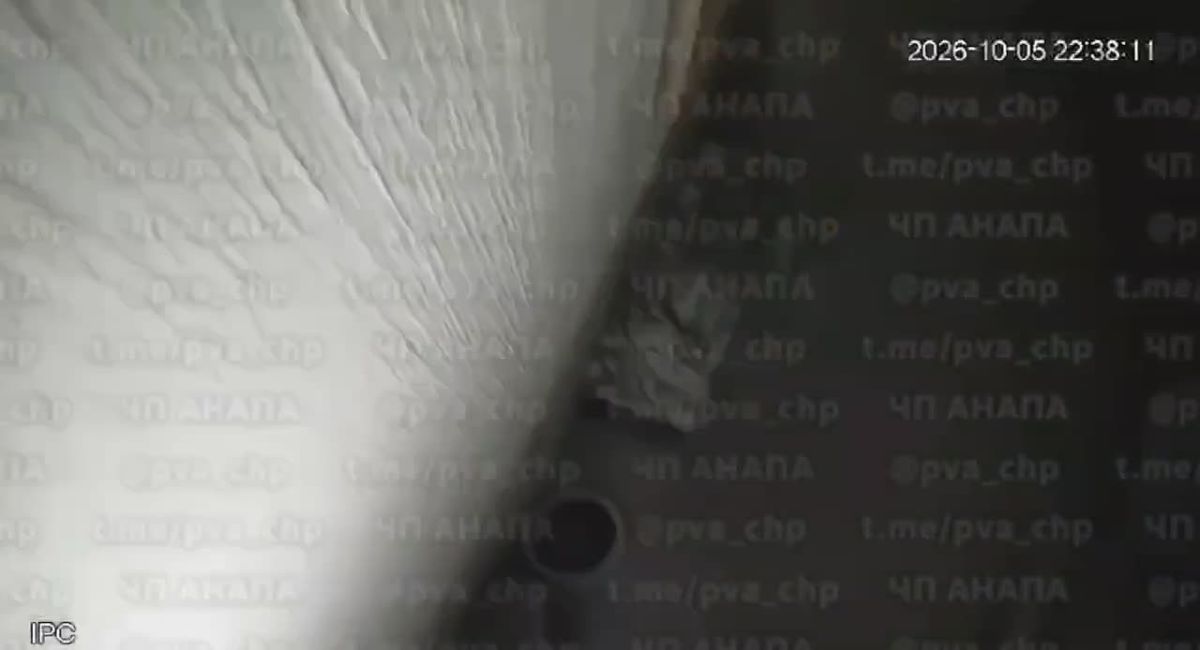 Мужчина с мачете устроил погром в подъезде в Анапе теперь его ищет полиция