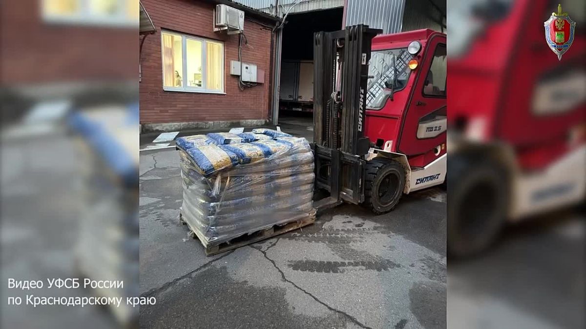 В Краснодаре ФСБ задержала логиста, похитившего 5 тонн продуктов для школ