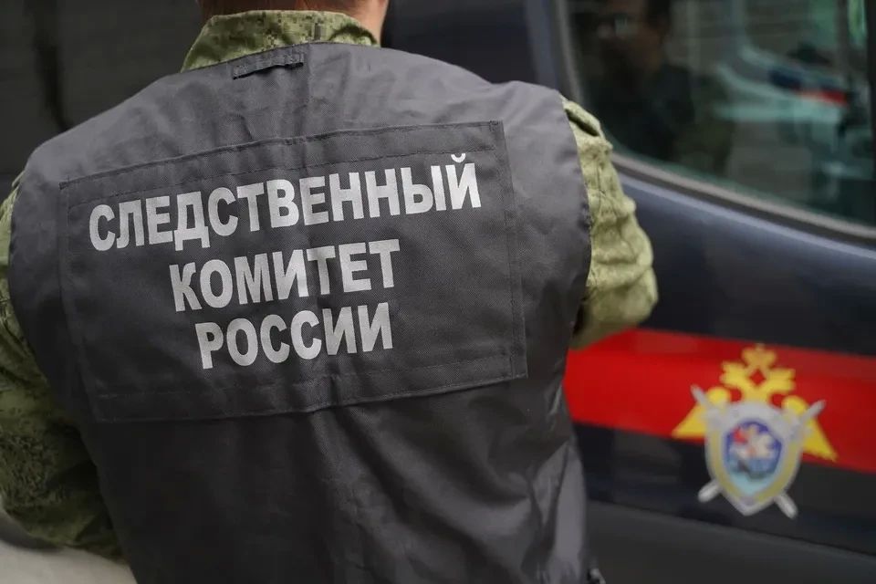 Жителю Анапы дали 1 год колонии за нападение на полицейского