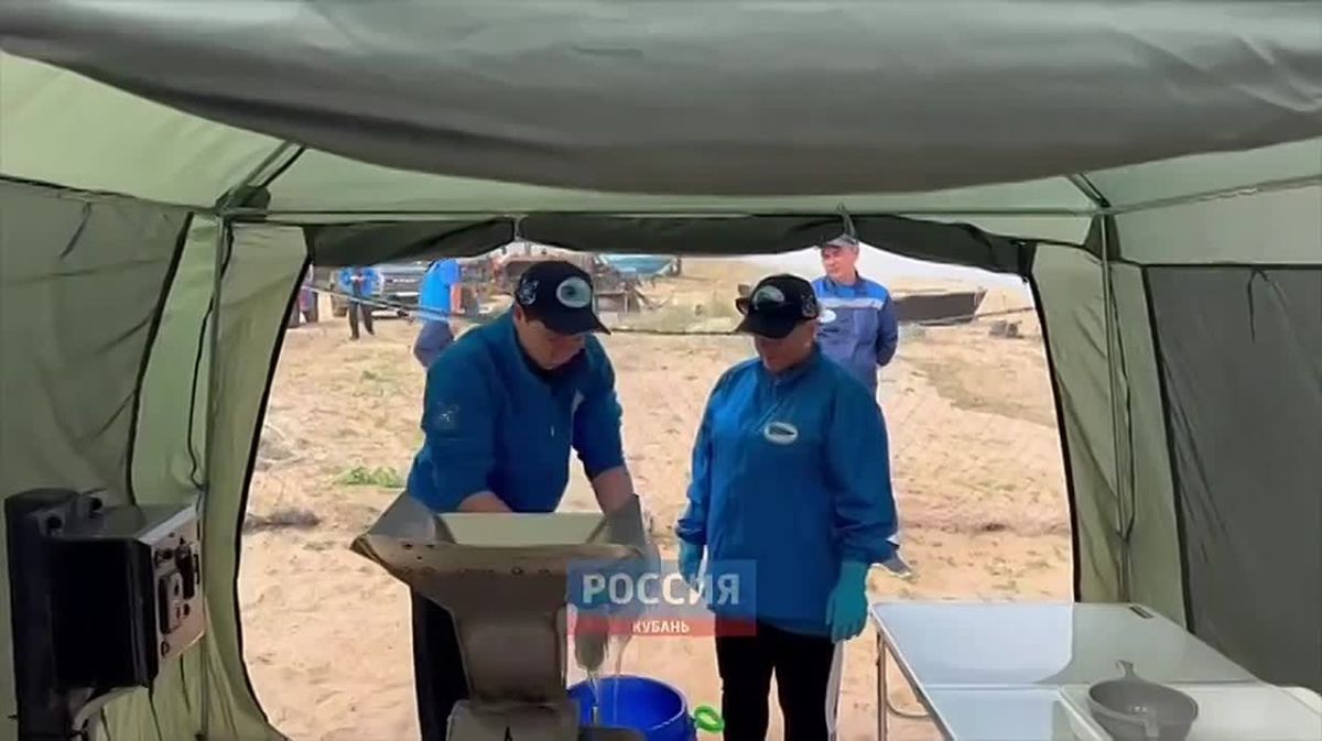 В Азовском море придумали защиту для рыбаков от медуз