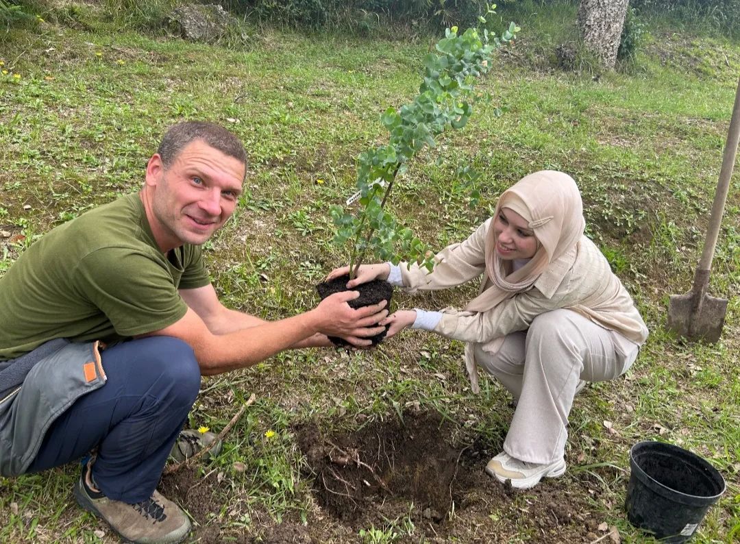 Коллекция Дендрария пополнилась редким видом гималайского дуба
