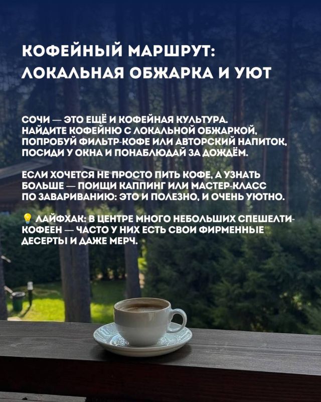 День без пляжа: чем заняться в Сочи, если море штормит День без пляжа: чем заняться в Сочи, если море штормит