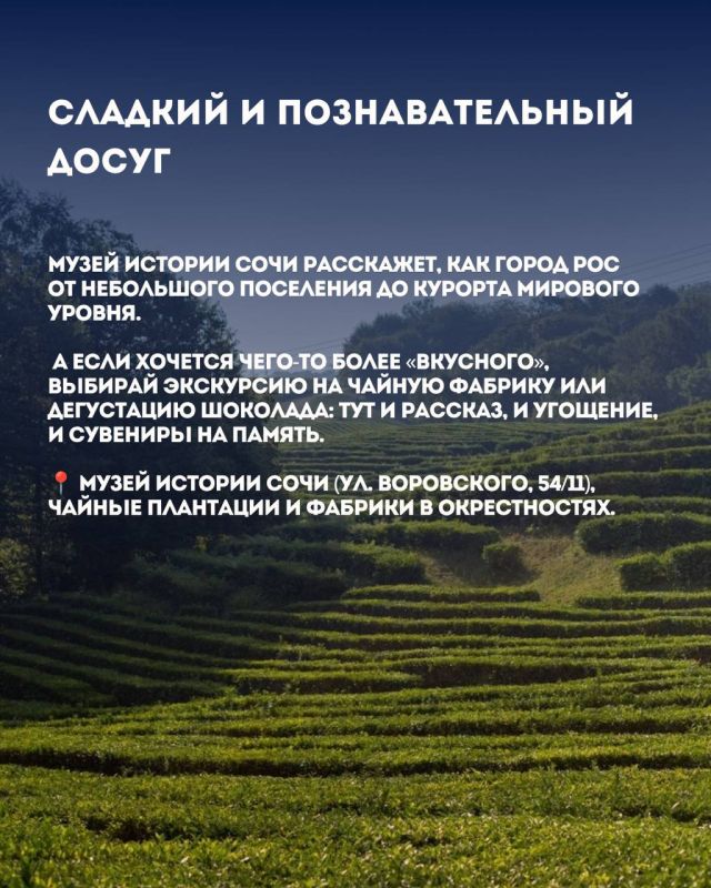 День без пляжа: чем заняться в Сочи, если море штормит День без пляжа: чем заняться в Сочи, если море штормит