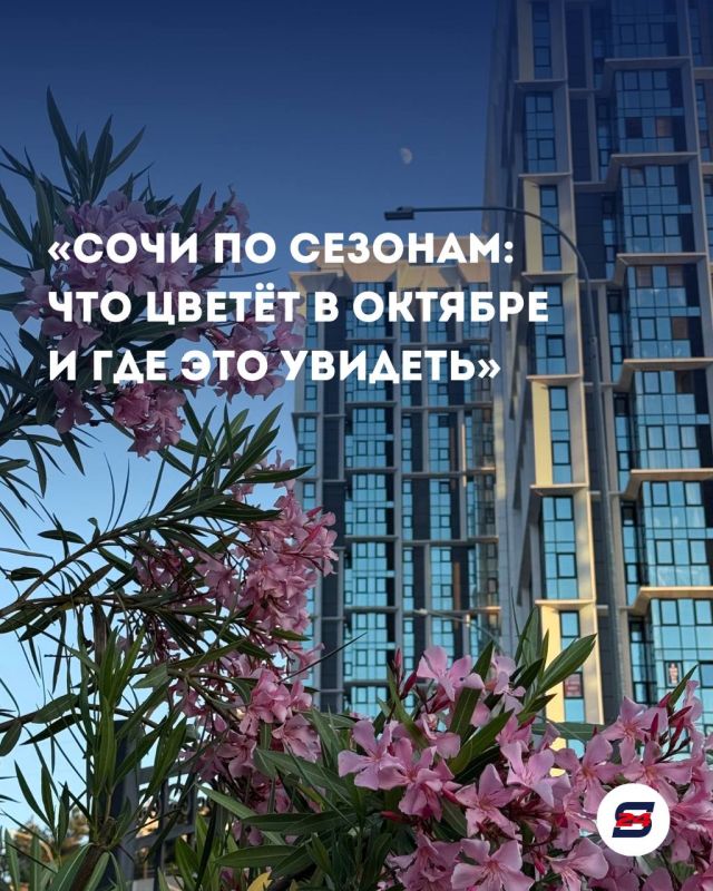«Сочи по сезонам: что цветёт в октябре и где это увидеть»
