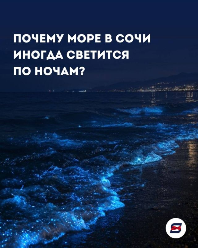 Почему море в Сочи иногда светится по ночам?