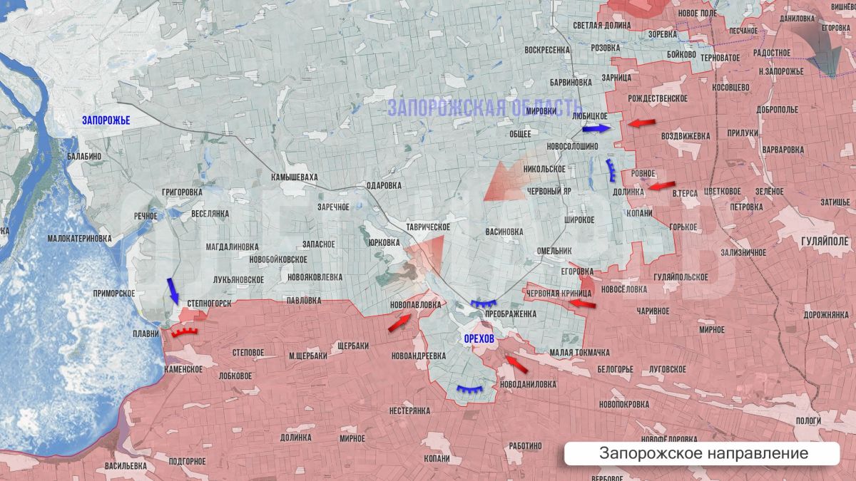 Олег Царёв: Фронтовая сводка. Фронтовая сводка 11 октября Олег Царёв: Фронтовая сводка. Фронтовая сводка 11 октября