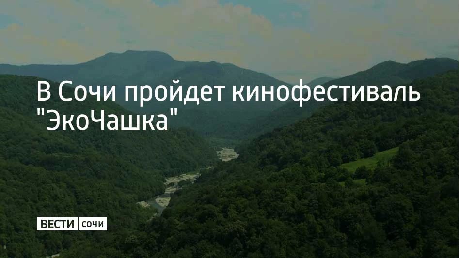 Фестиваль экологического документального кино "ЭкоЧашка" пройдет в шести городах России: в Сочи показы состоятся с 15 по 22 октября