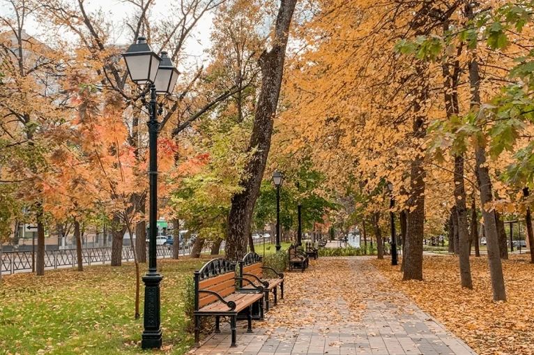 Температурные рекорды побиты в двух городах Кубани 12 октября