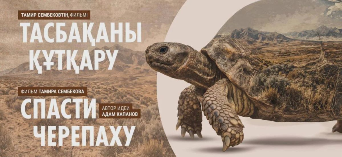 Кавказский заповедник приглашает на фестиваль экологического кино «ЭкоЧашка» в Сочи (Красная Поляна) и Сириусе Кавказский заповедник приглашает на фестиваль экологического кино «ЭкоЧашка» в Сочи (Красная Поляна) и Сириусе