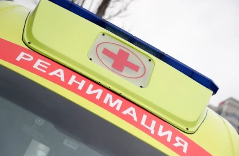 В Курганинске мальчик попал в реанимацию после нападения питбулей